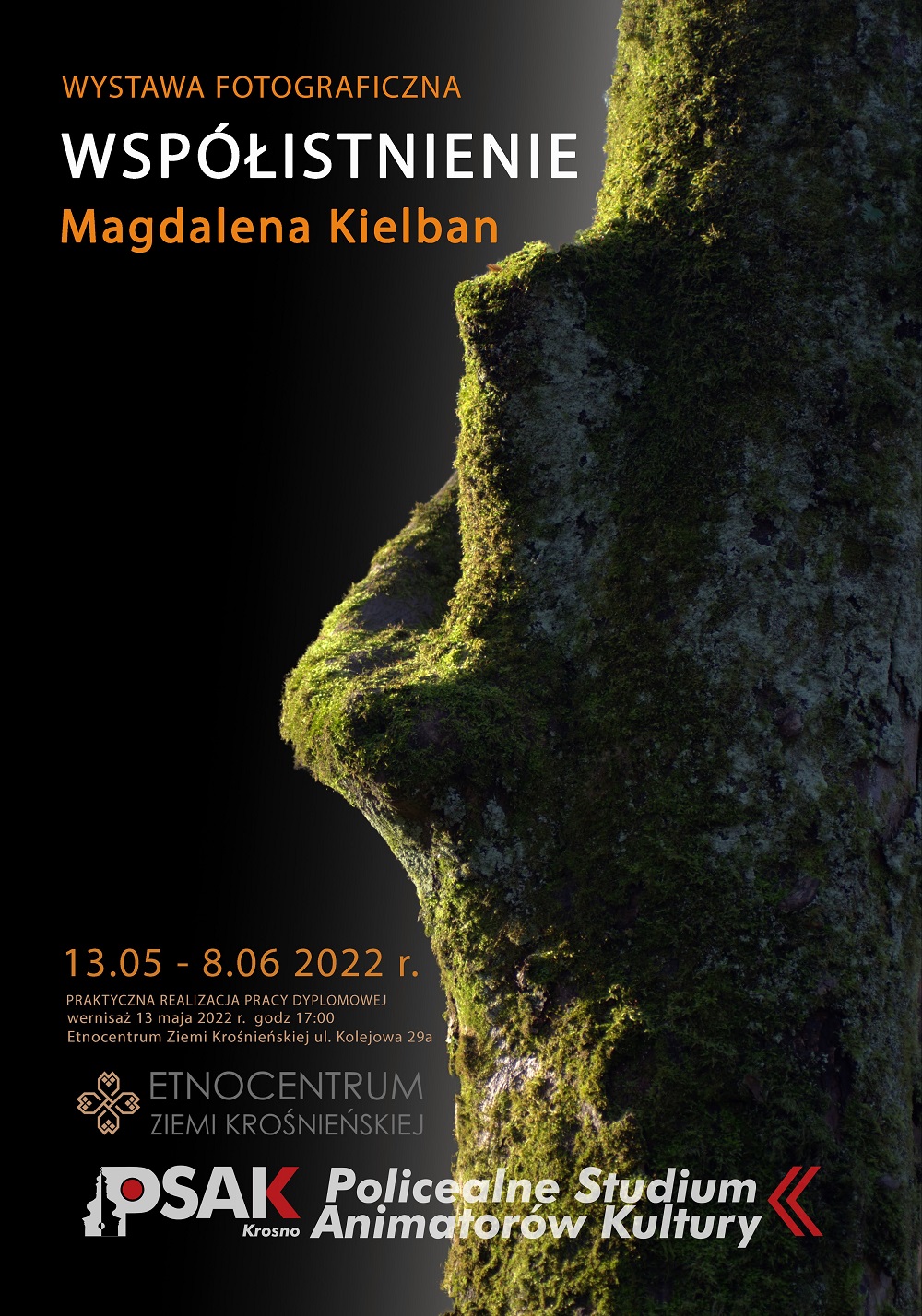 Plakat informujący o wystawie Magdaleny Kielban. Przestawia oświetloną korę drzewa porośniętego zielonym mchem 